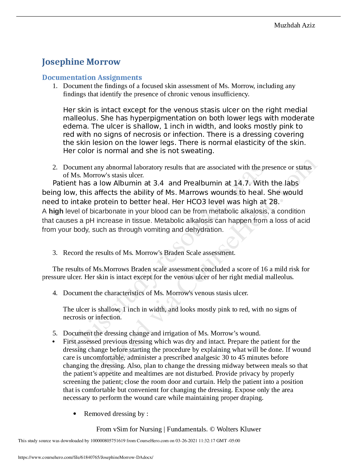 Preview image of Josephine Morrow Documentations Assignments document